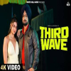 Third Wave - Raman Lakhesar