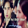 Ankh Hai Bhari Bhari - Kumar Sanu
