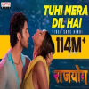 Tu Hi Mera Dil Hai - Rithesh G Rao