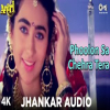 Phoolon Sa Chehra Tera (Jhankar Beats) - Udit Narayan
