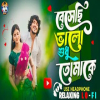 Beshechi Bhalo Sudhu Tomake - Bengla Lofi