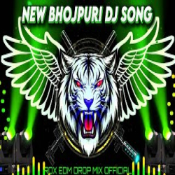 Lahariya Luta A Raja - Dj Remix Mp3 Song
