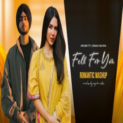 Fell For You - Romantic Mashup Mp3 Song
