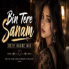 Bin Tere Sanam Mar Mitenge Hum (Deep House Remix)