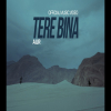 Tere Bina - Aur