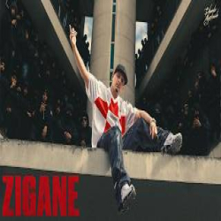 Zigane - Dhanda Nyoliwala Mp3 Song