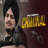 CRIMINAL - Sidhu Moosewala