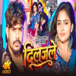 Diljale - Raushan Rohi, Srishti Bharti Mp3 Song