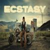 Ecstasy - Harkirat Sangha