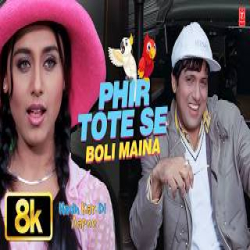 Phir Tote Se Boli Maina - Anuradha Paudwal, Udit Narayan Mp3 Song