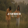 Jo Tum Mere Ho (Slowed + Reverb) - Anuv Jain