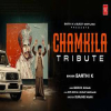 Tribute to Chamkila - Sarthi K