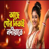 Achhe Gour Nitai Nadiate